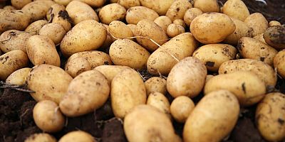 Yeni zam dalgası kapıda patates üreticileri uyardı