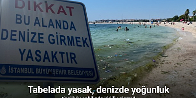 Yeşilköy sahilinde kirlilik alarmı