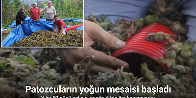 Yılın 50 günü çalışıp, saatte 6 bin lira kazanıyorlar