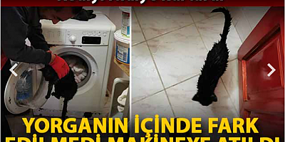 Yorgan arasında çamaşır makinesine konulan kediyi itfaiye kurtardı