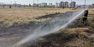 Yüksek gerilim hattına konan kargalar yangına neden oldu