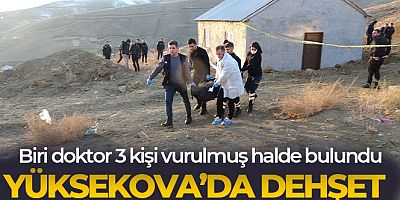 Yüksekova'da biri doktor 3 kişi silahla vurulmuş halde bulundu