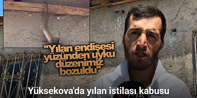 Yüksekova’da yılanlar bir evin kabusu oldu