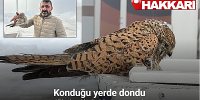 Yüksekova’da yürek burkan manzara: Konduğu yerde dondu