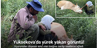 Yüksekova’da yürek yakan görüntü: Uçurumdan düşerek telef olan ineğine sarılıp saatlerce ağladı