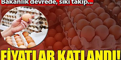 Yumurta fiyatları kanatlandı! Bakanlık harekete geçti