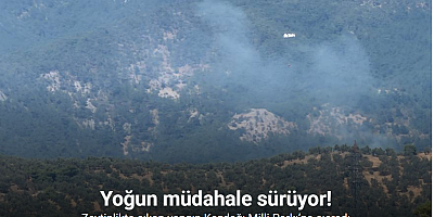 Zeytinlikte çıkan yangın Kazdağı Milli Parkı’na sıçradı
