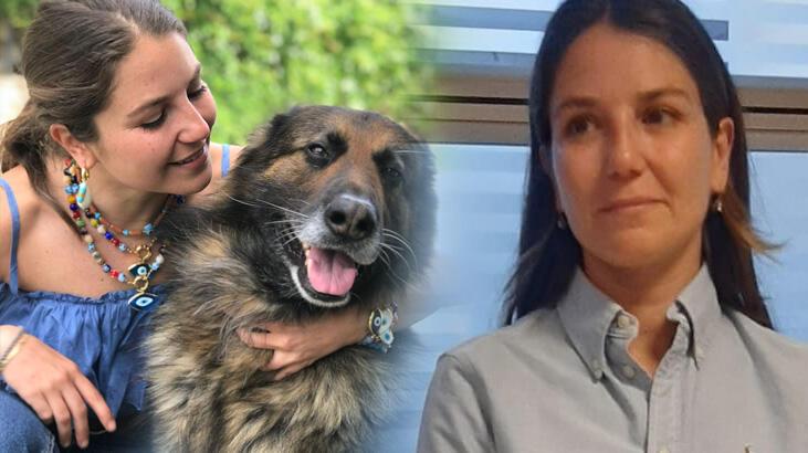 Takipsizlik kararı sonrası köpeğin sahibini şikayet etti