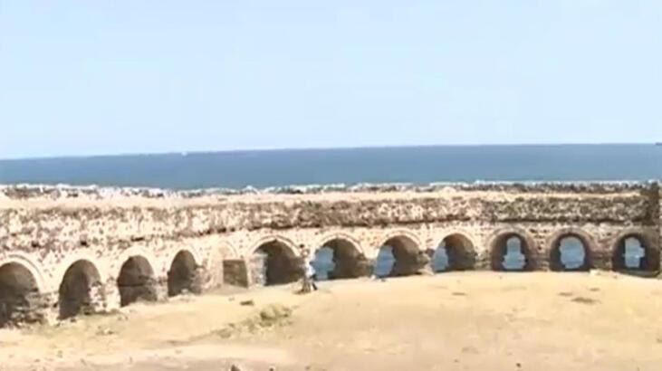 Tarihi kale ahıra döndü, içinde inekler yaşıyor!
