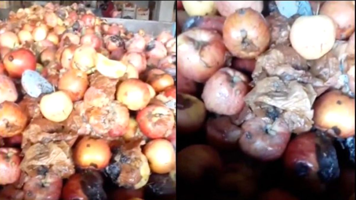 Tarım ve Orman Bakanlığı, 'çürük meyvelerden meyve suyu' görüntülerine inceleme başlattı