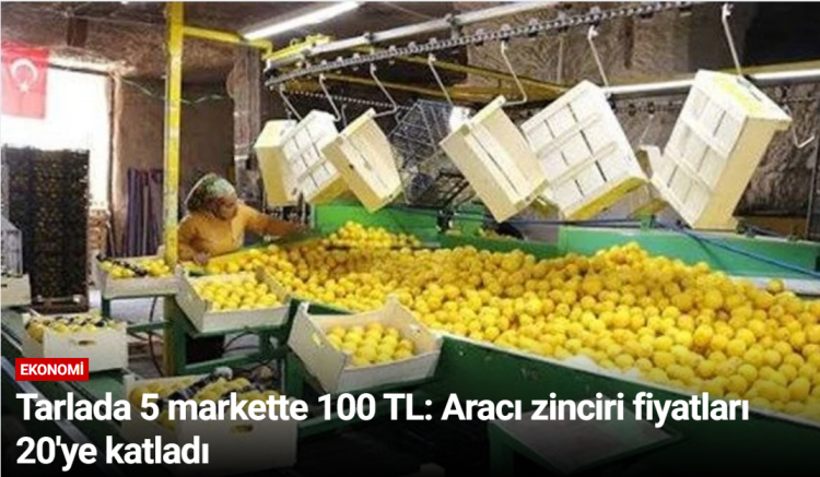Tarlada 5 markette 100 TL: Aracı zinciri fiyatları 20'ye katladı