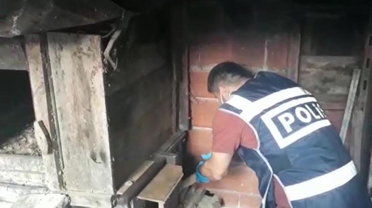 Tavuk kümesindeki gizli bölmeden çıkanlar şoke etti!