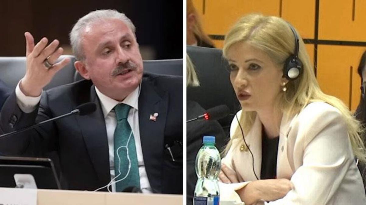 TBMM Başkanı Şentop'tan Rum temsilcinin çarpıtmalarına tokat gibi yanıt: Senin yaşın yetmez