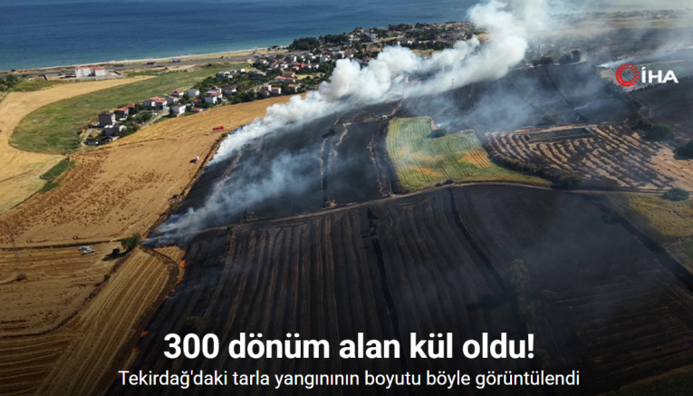 Tekirdağ’da buğday tarlalarına sıçrayan yangında 300 dönüm alan kül oldu