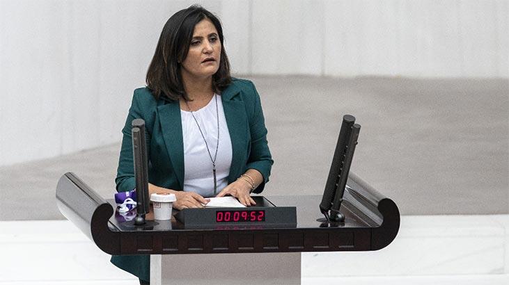 Teslim olan teröristlerin ifadeleri ortaya çıktı! HDP milletvekili...