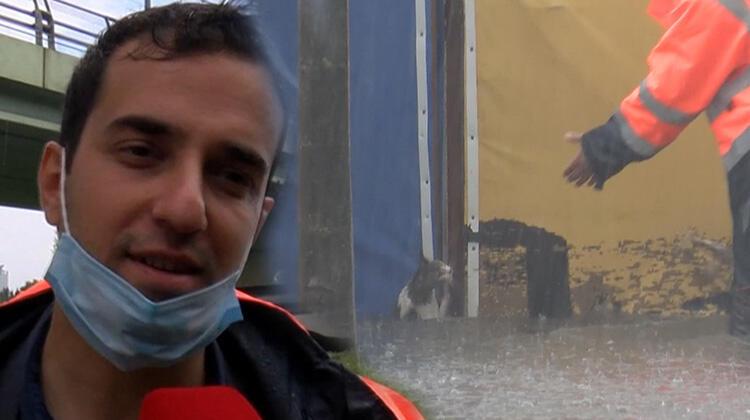 Topkapı'da kediyi sel sularından kurtaran görevli konuştu! İnsani bir görev