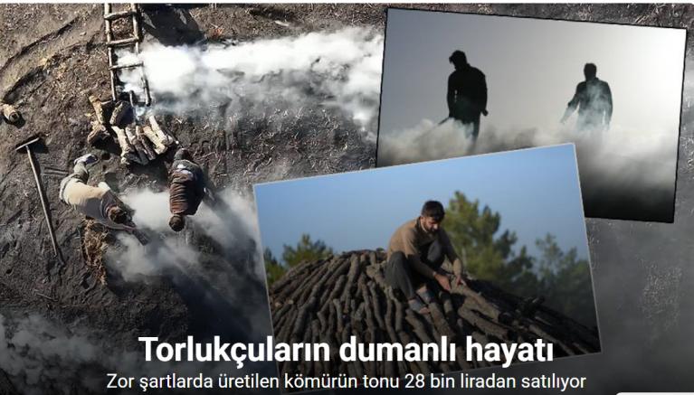 Torlukçuların dumanlı hayatı: Zor şartlarda üretilen kömürün tonu 28 bin liradan satılıyor