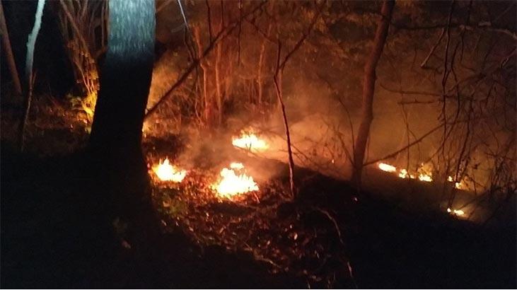 Trabzon'da korkutan orman yangını