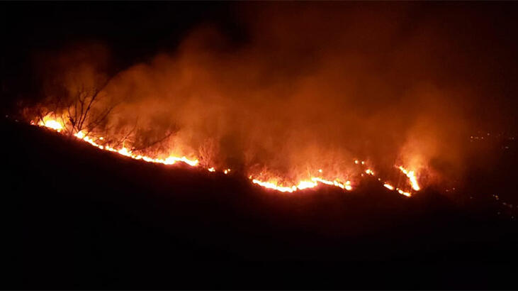 Trabzon'da örtü yangını! Ekipler oraya koştu