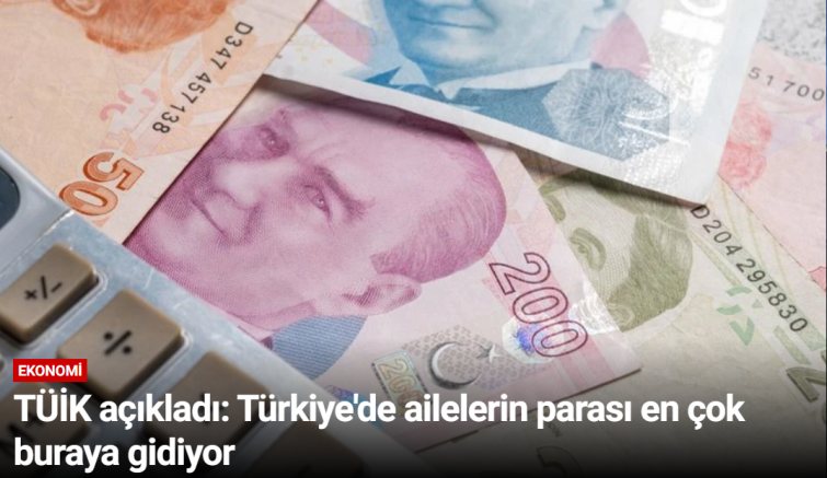 TÜİK açıkladı: Türkiye'de ailelerin parası en çok buraya gidiyor
