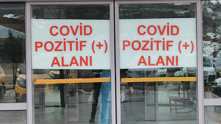 Tunceli'de mutasyonlu virüs taşıyan doktordan güzel haber!