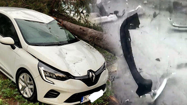 Türkiye soğuk ve karlı havaya teslim oldu!