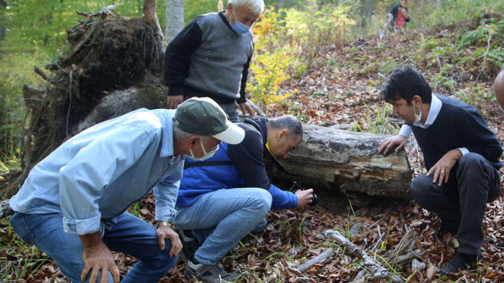 Türkiye'yi il il gezip topluyorlar!  Alzaymır'ın en büyük düşmanı