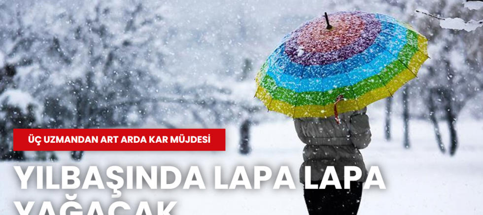 Üç uzmandan art arda kar müjdesi: Yılbaşında lapa lapa yağacak