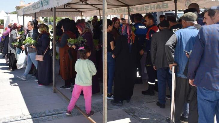 Ücretsiz olduğunu duyan koştu 16 bin adet sebze fidesi dağıtıldı
