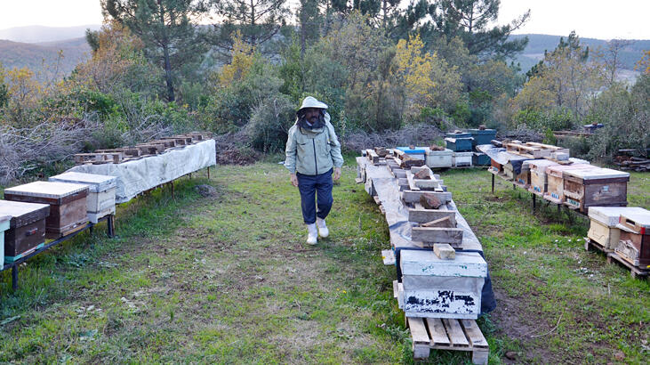 Üniversite mezunu gemi kaptanı 10 yıldır arıcılık yapıyor