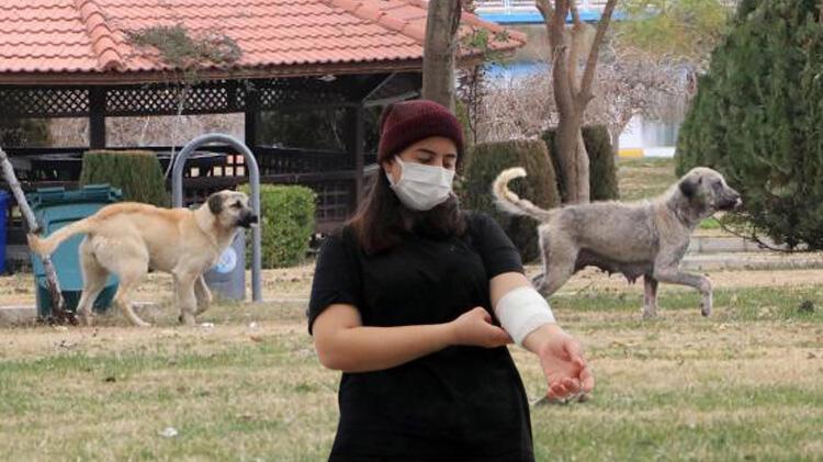 Üniversiteli Rojin, kampüste köpeklerin saldırısına uğradı