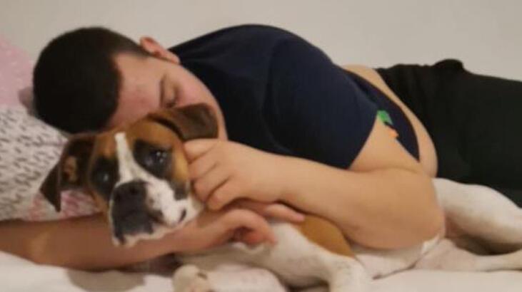 Üsküdar’da silahlı dehşet! Pitbull zannettiği köpeğe kurşun yağdırdı