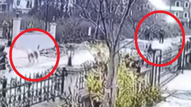 Üzerlerine gelen köpeği öldüren polise soruşturma