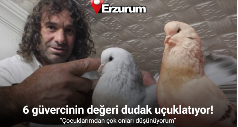 Uzun yol şoförünün sıradışı güvercin sevdası: 6 güvercininin toplam değeri 700 bin TL
