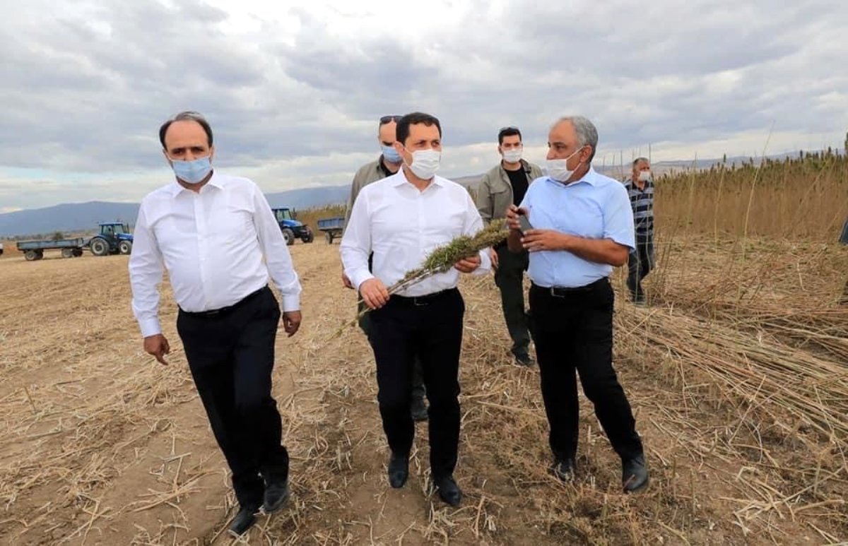 Vali Masatlı, Gökhöyük Tarım İşletmesinde incelemelerde bulundu