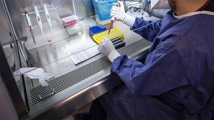 Valilik duyurdu! PCR test sonucu istenecek