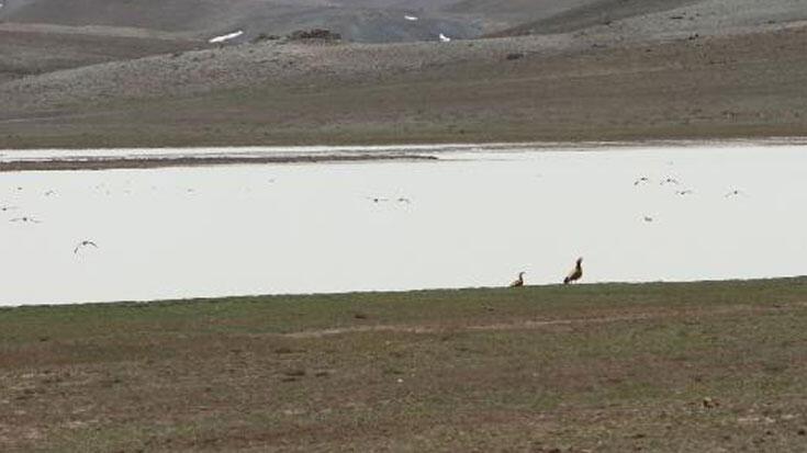 Van'da tamamen kuruyan Tuz Gölü, yeniden su tutmaya başladı