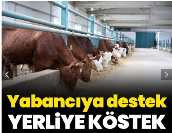 Yabancıya destek yerliye köstek