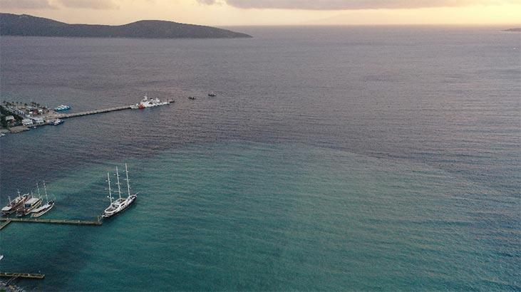 Yağış sonrası rengi değişti