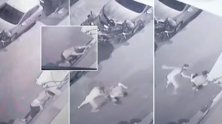 Yakalanan hırsızdan pişkin savunma: Çay içmeye geldim!