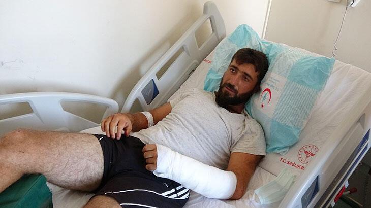 Yangını söndürmeye gitti! ayı saldırısında ölümden döndü