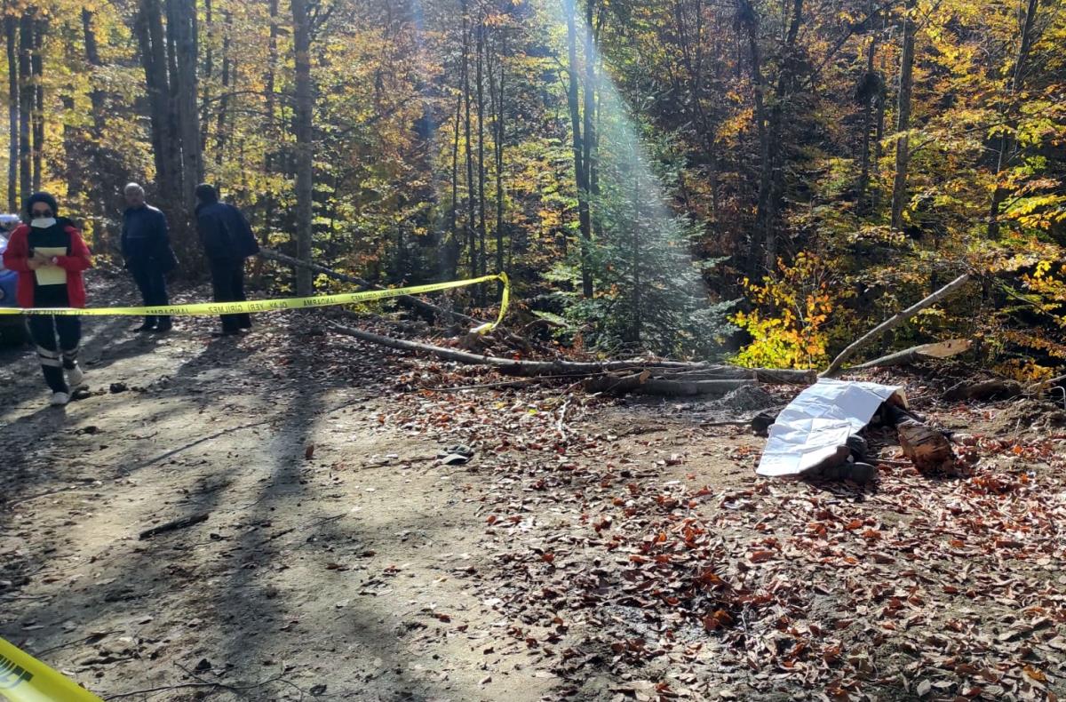 Yasa boğan ölüm! Kestiği ağacın altında kalarak can verdi
