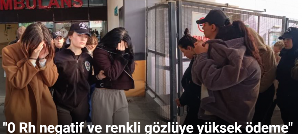 Yasa dışı üreme ticaretinde ülke ve fiziksel özelliğe göre fiyat tarifesi oluşturulmuş
