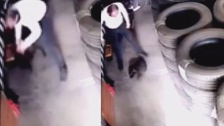 Yavru köpeği canice öldürdü! 3 yıla kadar hapsi istendi