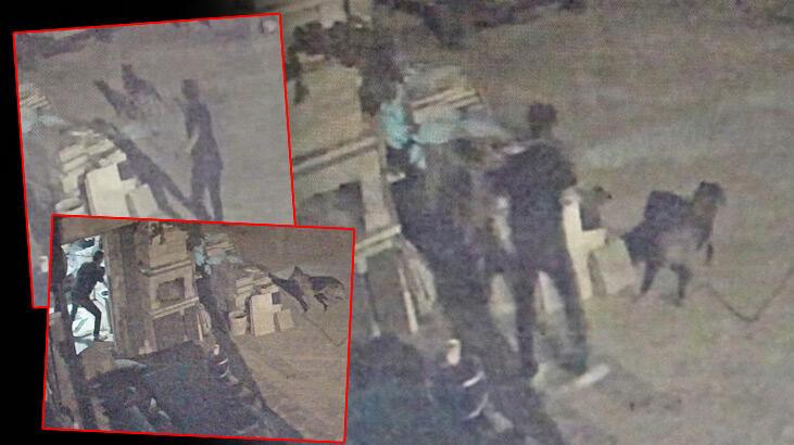 Yer: Antalya! Tartıştığı arkadaşına sinirlendi, aynı ismi taşıyan köpeği öldürdü