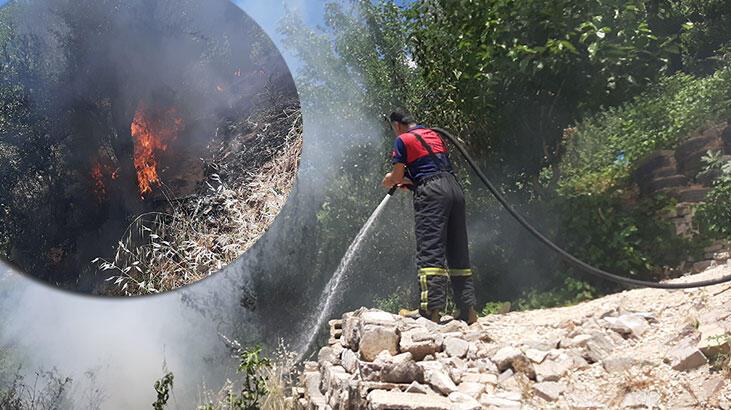 Yılan korkusundan bahçeyi yaktı