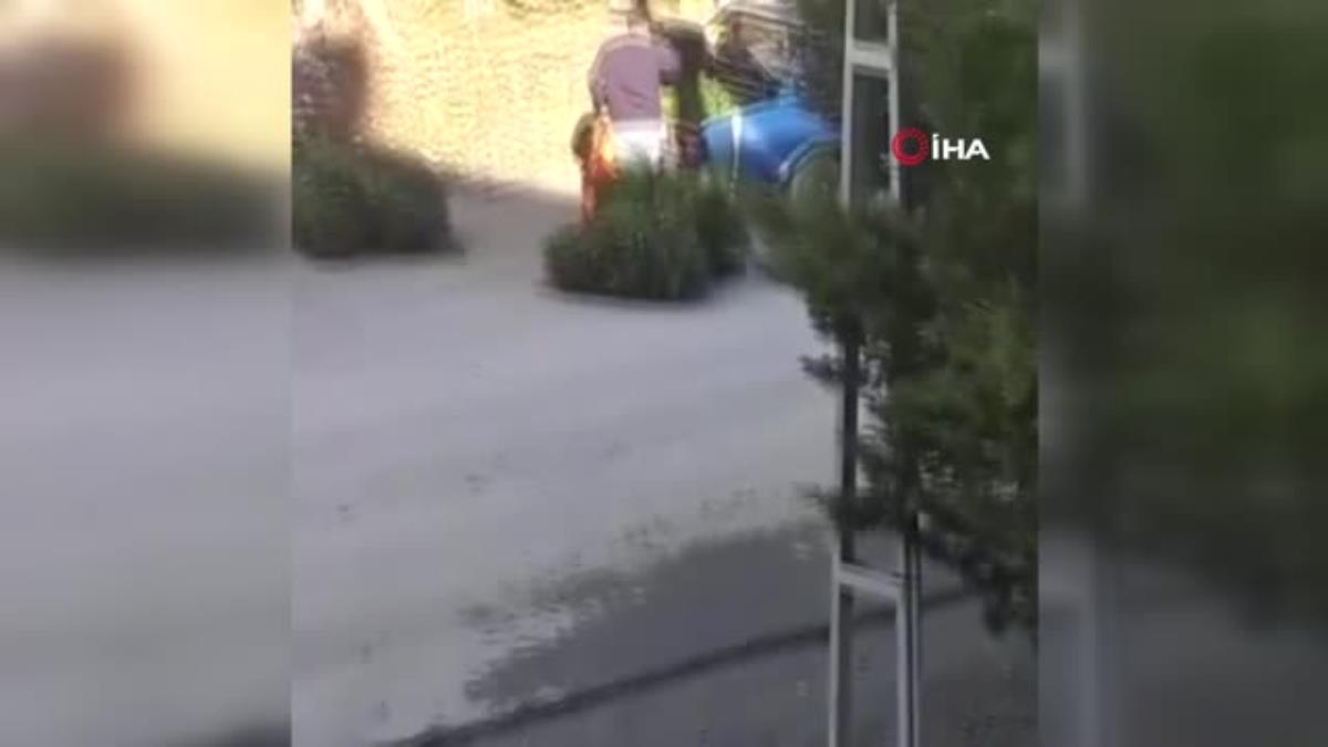 Yılbaşı için kaçak ağaç kesen şahıslara cezai işlem uygulandı