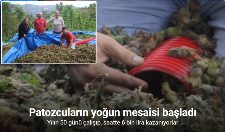 Yılın 50 günü çalışıp, saatte 6 bin lira kazanıyorlar