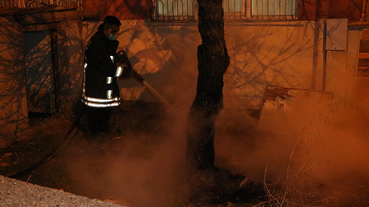 Yok artık dedirten olay! Bahçesindeki ağacı yakmaya çalışırken yakalandı