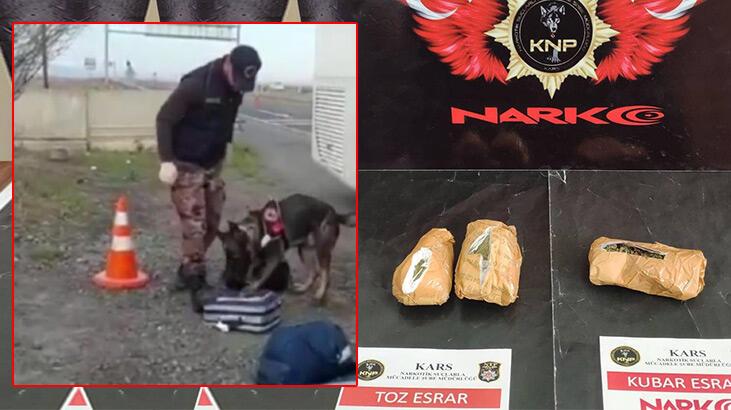 Yolcu otobüsünde, bavuldaki uyuşturucuları 'Daxo' buldu